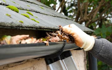 gutter cleaning Pound Green