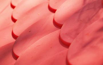 Pound Green plastic roof costs